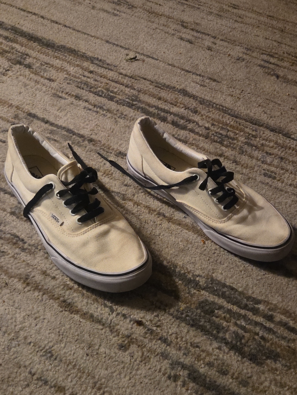 Vans Men’s Low-Top Canvas Sneakers in Cream with Black Laces